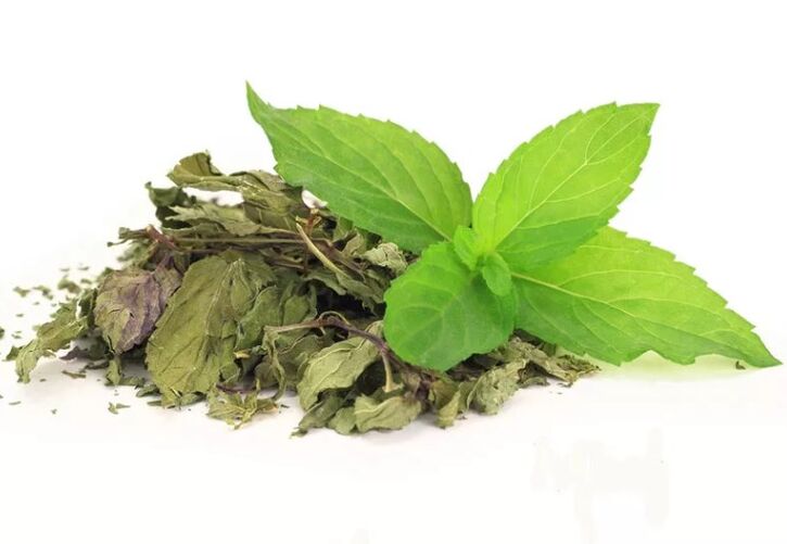 Zeleni čaj u Abslimu